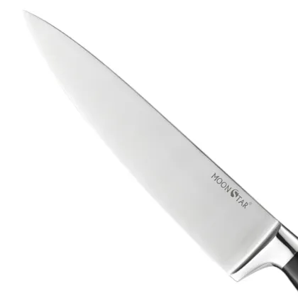 8 Inch Chef Knife Stainless Steel Culinary Kitchen Knife with ABS Handle