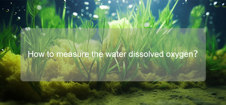 dissolved oxygen measure