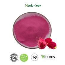 Organic Freeze Dried Pitaya Powder