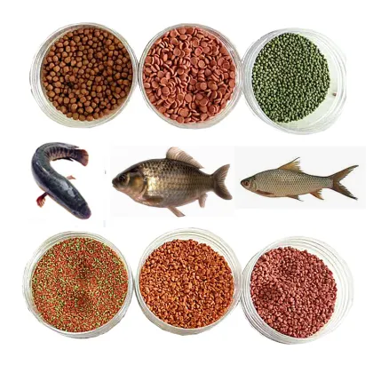 Automatic High Quality Pet Food and Fish Feed Processing Machines