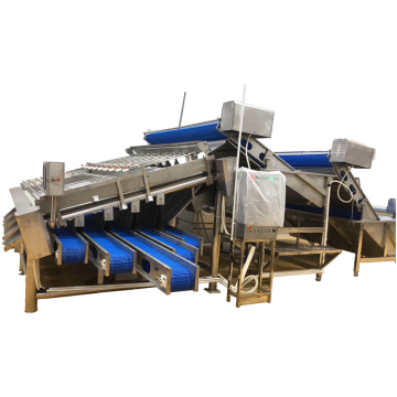 Automatic Shrimp Sorting Machine Prawn Grader