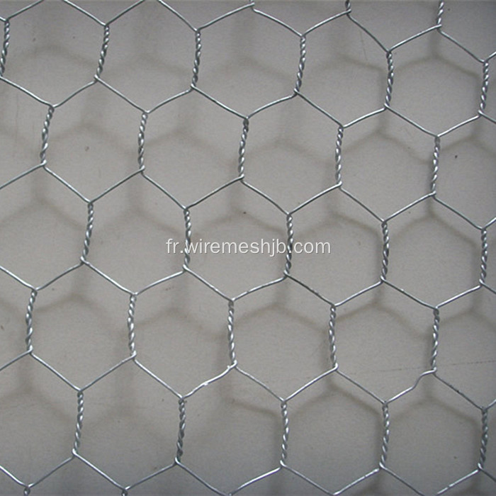 Fil hexagonal galvanisé pour faire des couvertures