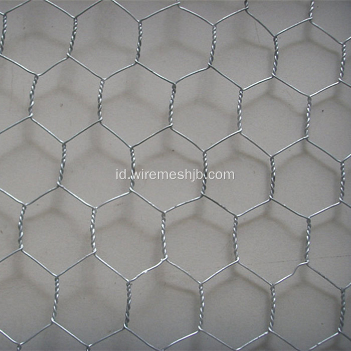 Galvanized Hexagonal Wire Netting Untuk Membuat Covers