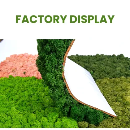 Green Moss Wall Art: Stabilized Icelandic Lichen for Interior Decoration