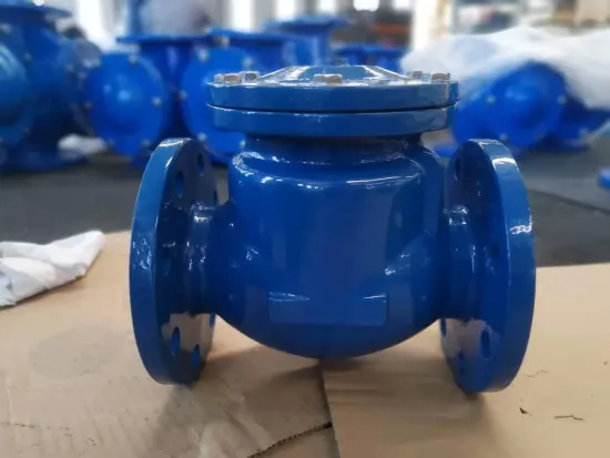Soft Seal of Hard Seal Rotary Check Valve