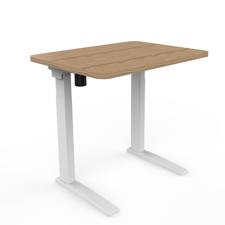 Standing Adjustable Desks