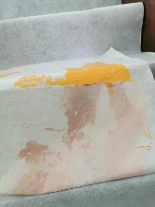 Outdoor Coverguard Floor Protection When Painting