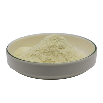 Pineapple Powder Spray Dried