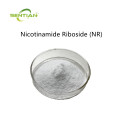 Nicotinamide Riboside Chloride Powder Bulk NR Manufacturer
