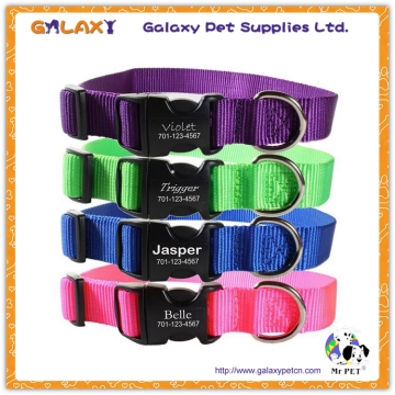 G-A-6092 pet collar with charms