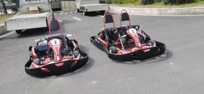 Parent-Child Battery Powered Electric Racing Pedal Kart for Outdoor Go Karting