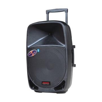 2024 Temeisheng Professional Bluetooth Trolley Active Speaker 15 Inch 1000 Watt with Mic and BT