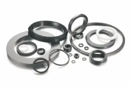 High Wear Resistance SSic Seal Ring For Pump
