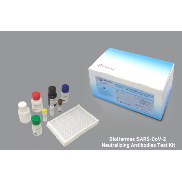 Test ELISA na obecność przeciwciał neutralizujących SARS 2