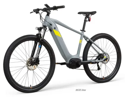 EU Warehouse Mens Electric Bike