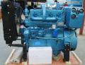 40kW Dieselmotor Weifang Ricardo K4100ZD