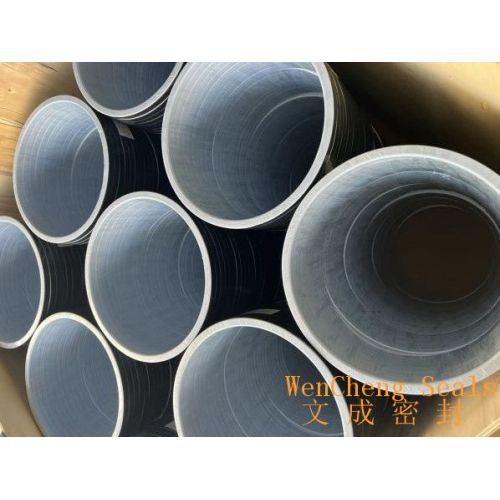 DN300 PTFE/EPDM Manlid Seals