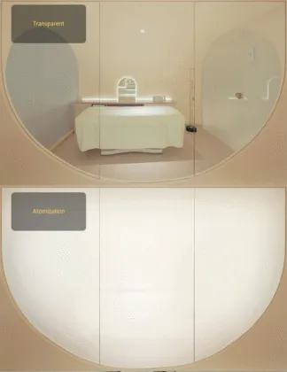 12mm Smart Glass remote control wall control