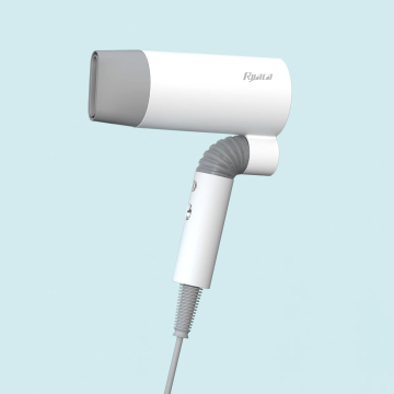Zhejiang Professional Hair Dryer with Ionic Technology, Foldable Handle and Magnetic Nozzle
