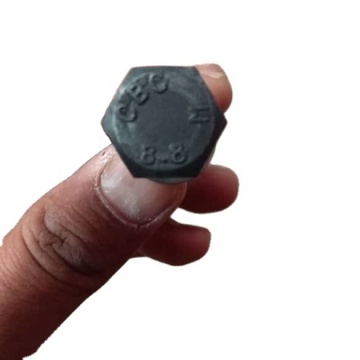Supportive Fastener Set: M5 to M12 Bolts with Washers