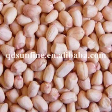 Peanut Kernel/raw peanuts without shell