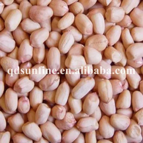 Peanut Kernel/raw peanuts without shell