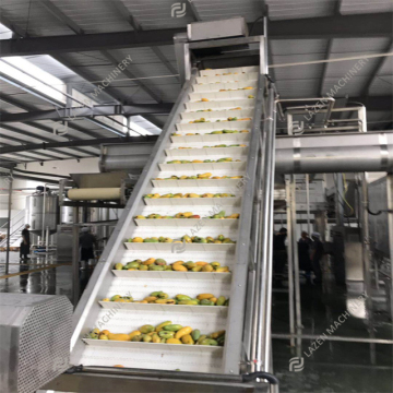 Factory Price One Stop Service: Industrial Fruit Mango Juice and Pulping Machines