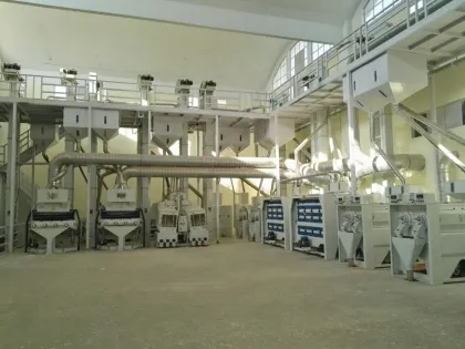 CLJ Brand 100TPD Auto Rice Mill Plant: Complete Rice Processing Line