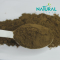 rhubarb root extract 2% chrysophanol powder