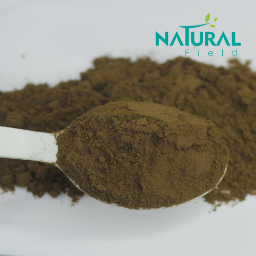 Anti-Inflammatory rhubarb root extract 2% chrysophanol powder Factory