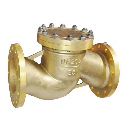 China DN25-DN300 Lift flange check valve Manufactory