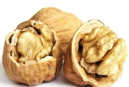 2017 new crop Walnut kernels