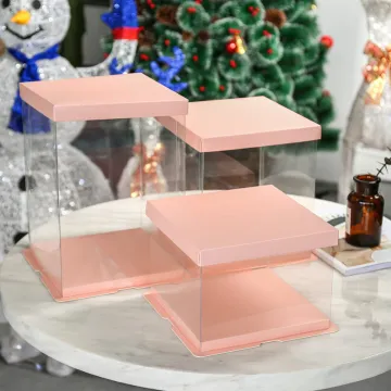 Tall cake plastic box