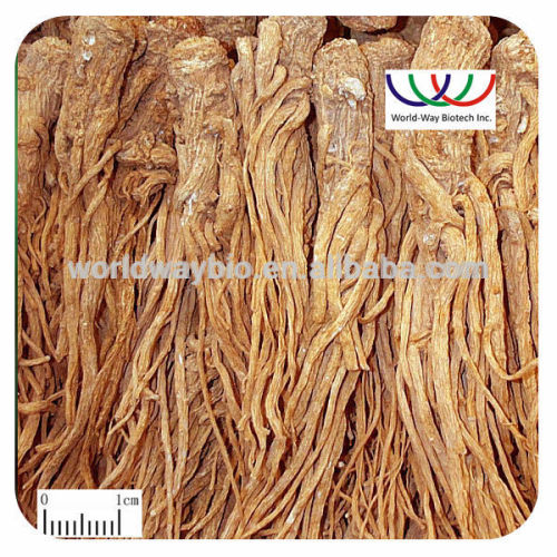 Free sample !wholesale herbal extraction powder for women health natural Chinese angelica extract 10:1,20:1,30:1