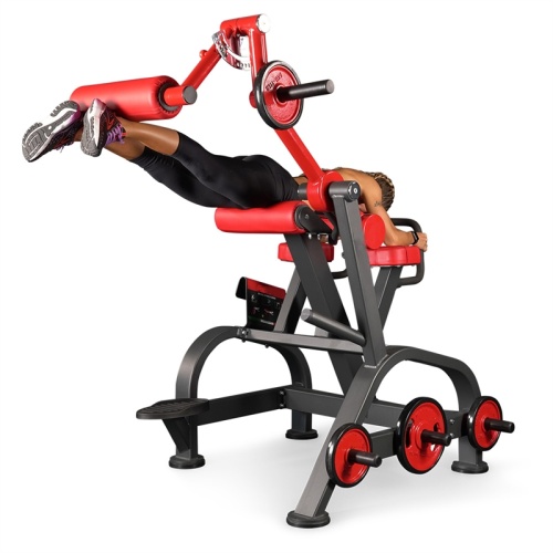 Gym equipment Reverse Hyperextension