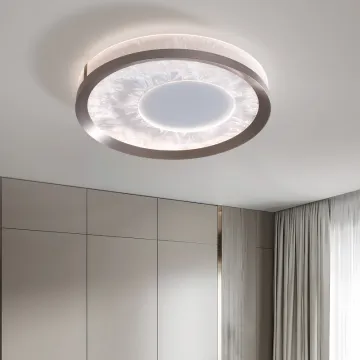 Modern Acrylic Flower Iron Ceiling Lights Chandelier for Living Room Décor