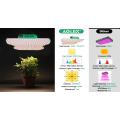 Aglex Trồng trồng cây lượng tử trồng Light Cây thương mại