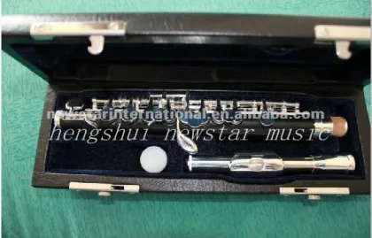 musical instruments Piccolo