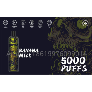 Energy 5000 Puffs Mesh Coil Disposable Vape pen