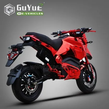 Adult Racing Electric Motorcycle
