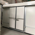 Automatic Cold Room Sliding Doors