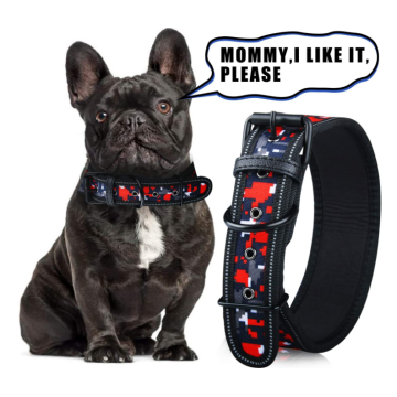 Lining lembut Padded Dog Collar