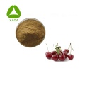 Amarelle Prunus Cerasus Sour Cherry Extract Powder