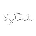 1- [2- (2,2,2-trifluoro-1,1-dimethylethyl) -4-pyridyl] -2-propanon voor Alpelisib CAS 1396893-39-2