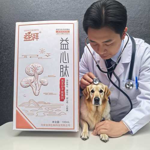 Συμπληρώματα για την υγεία της καρδιάς για ηλικιωμένα κατοικίδια