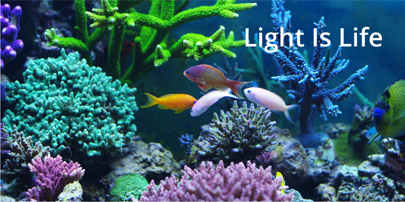 Marine Aquarium LED Lights for Sale