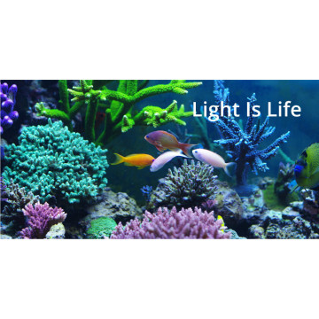 White / Bule / Green / Uv Full Spectrum LED Aquarium Light