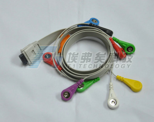 Nihon Kohden Holter Recrder ECG Cable with 10leads