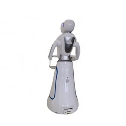 Robot Waiter For Advanced Technology