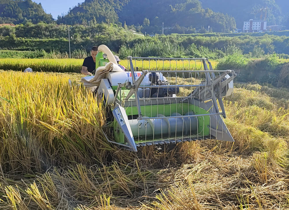 Mini rice harvester